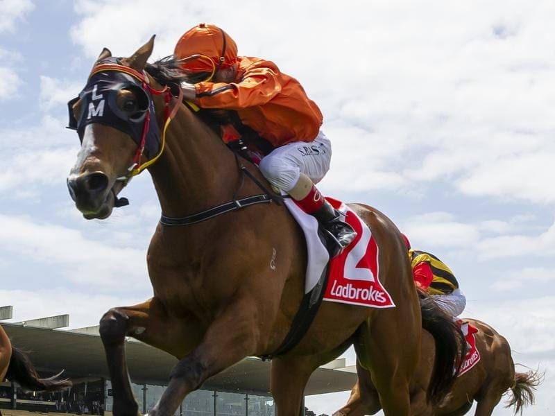 All-Star Mile reject Gold Fields will continue his campaign in the Golden Mile at Bendigo. Gold Fields wins at Sandown.