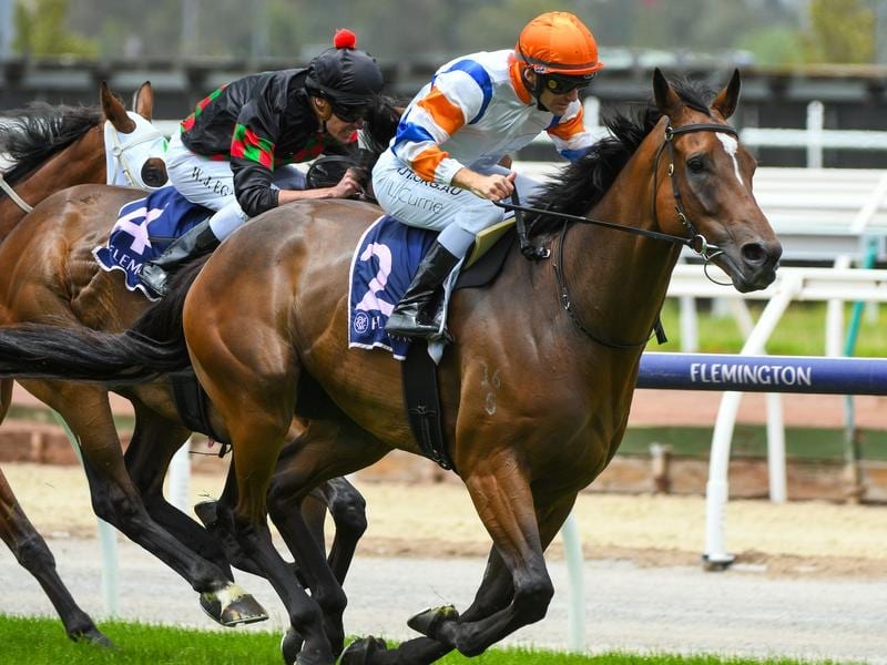 Secret Blaze will contest the Easter Cup at Caulfield.