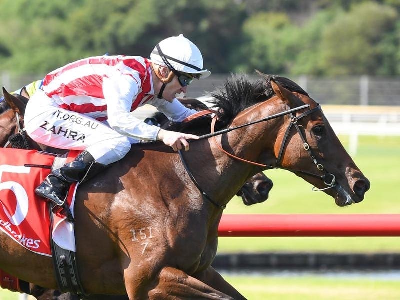 Trainer Anthony Freedman believes debut Sandown winner Charm School can be a spring force. charm school