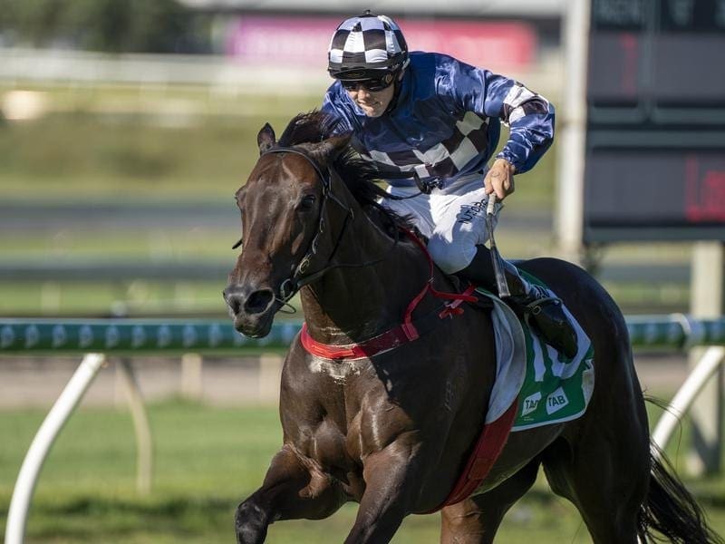 Shalwa after value-boosting win at Doomben | Betting Site