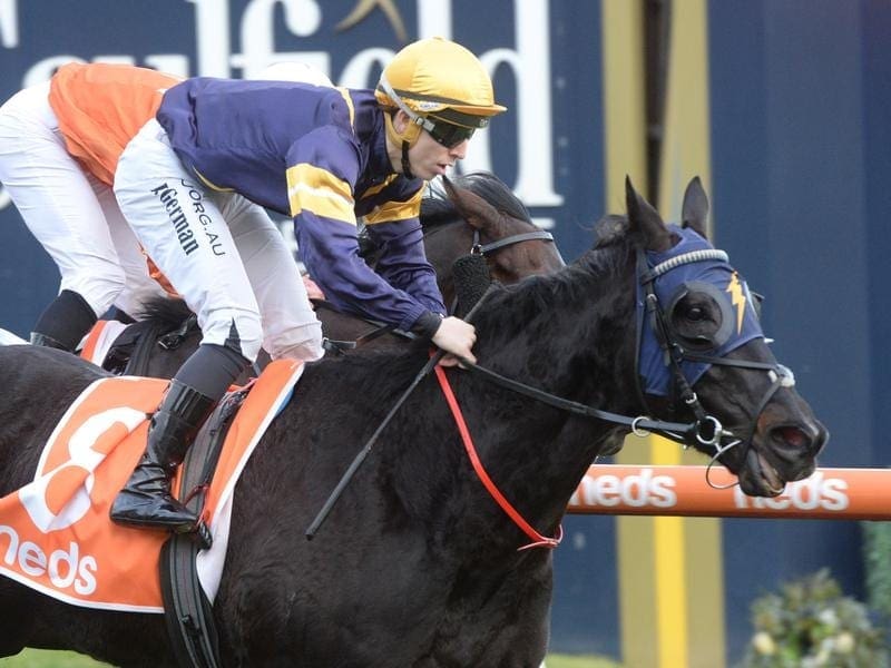 Mirimar wins at Caulfield.