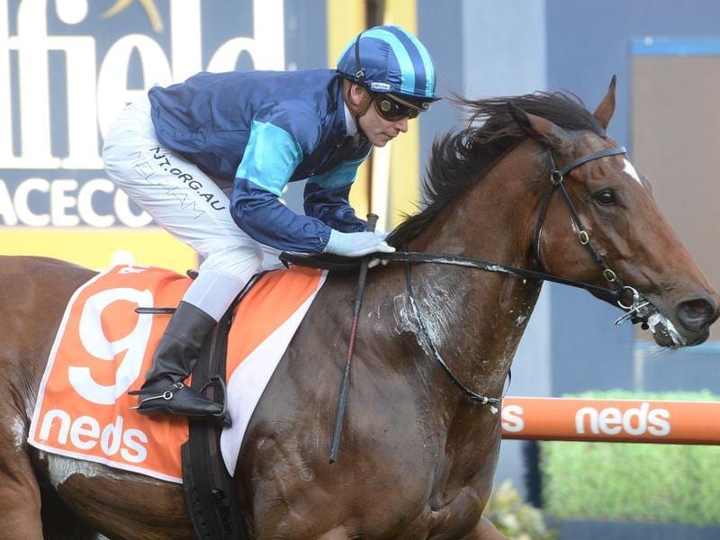 Alfa Oro wins at Caulfield.