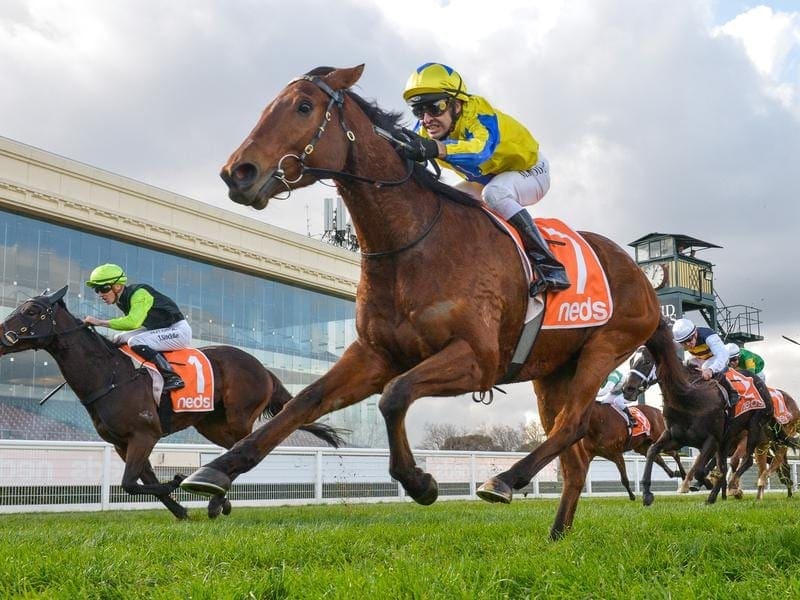 Michael Rodd wins on Mystery Shot at Caulfield.