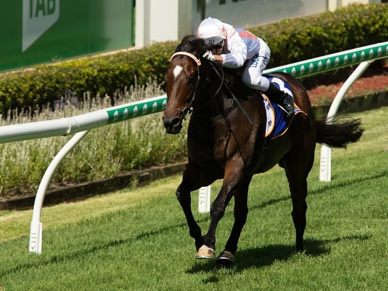 Fiery Heights will contest the TAB Handicap at Doomben.