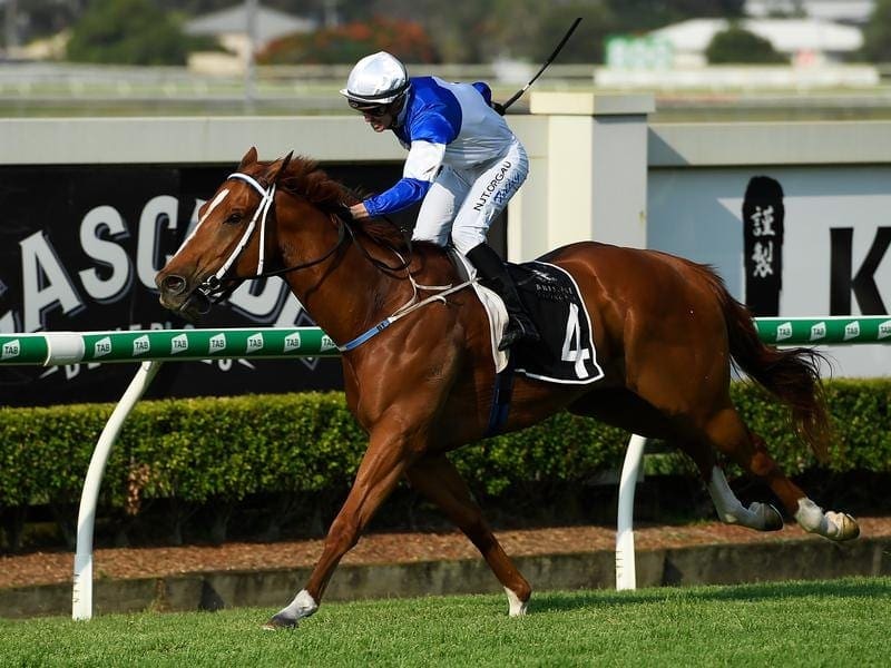 Spurcraft is set to make a belated first start for trainer Kelly Schweida at Doomben. Spurcraft is set to make his first start for trainer Kelly Schweida