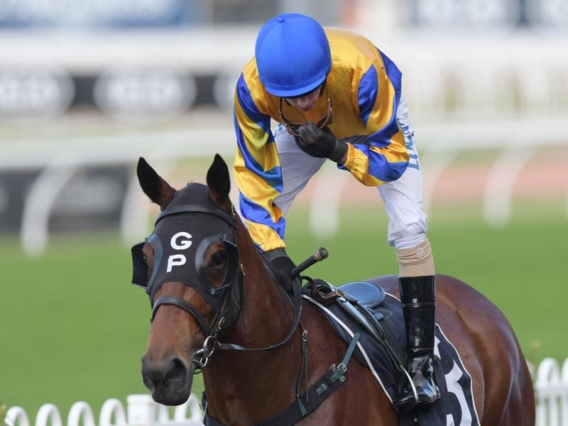Stud-bound Strome will run in the Sapphire Stakes at Doomben.