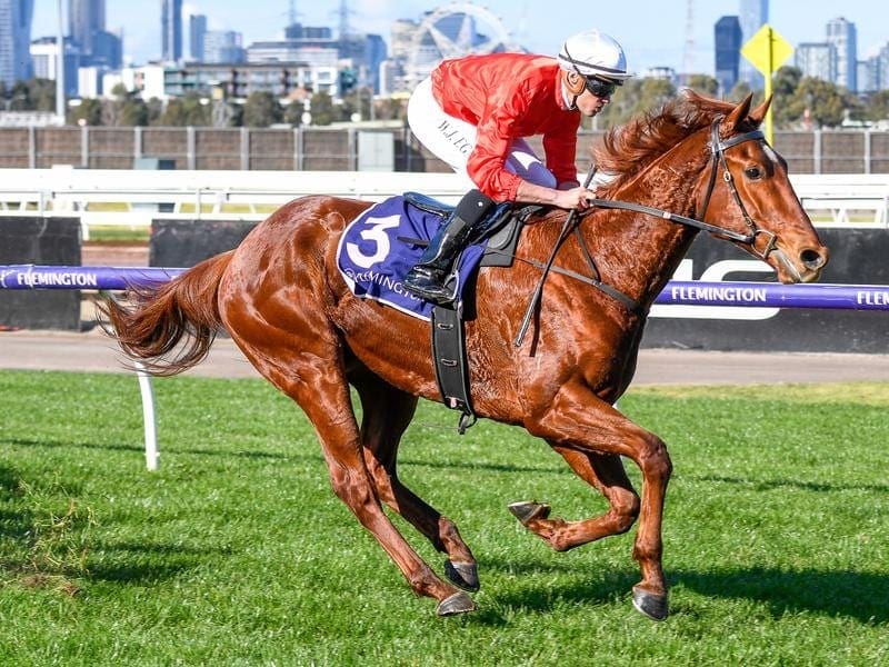 Cherry Tortoni wins at Flemington.