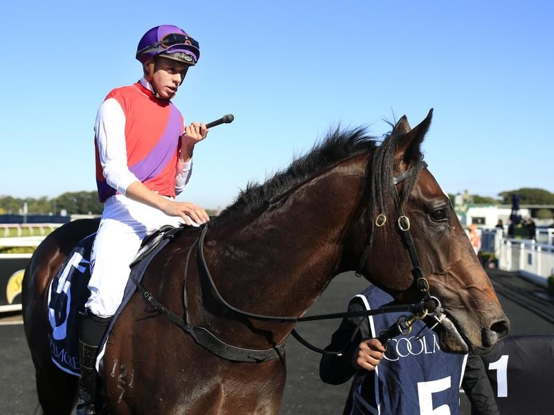 Exhibition returns to scale after winning at Randwick.