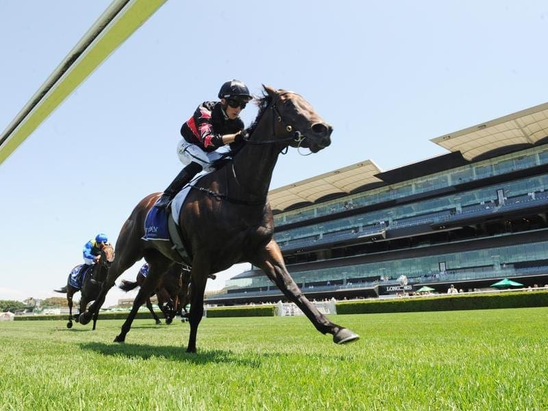 Magic Millions 2YO Classic winner Away Game.