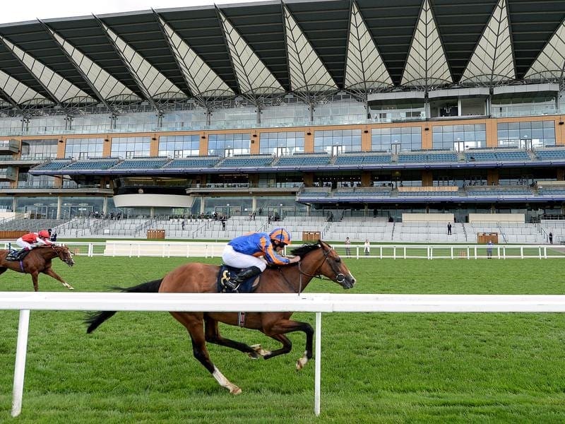 Santiago, winning at Royal Ascot, has claimed the Irish Derby.