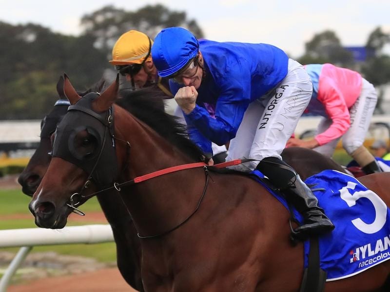 James McDonald wins on Kordia, his 100th winner in Sydney for 2019-20.