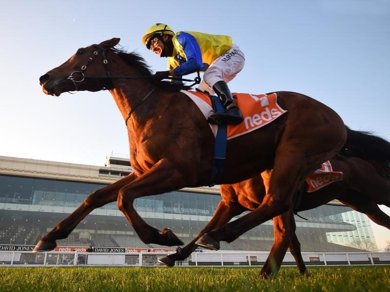 Michael Rodd guides Mystery Shot to a fifth successive victory at Caulfield to earn a spell. Mystery Shot hits the target at Caulfield