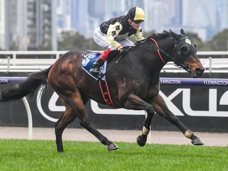 Lord Von Costa wins at Flemington.