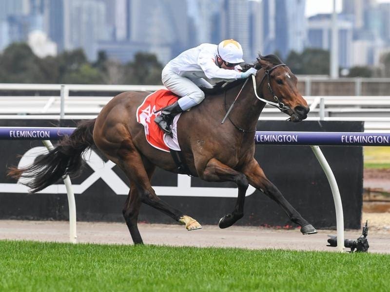 Sense Of Honour wins at Flemington.