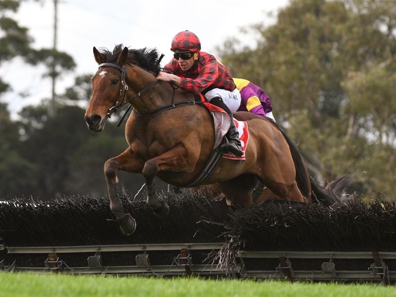 Tallyho Twinkletoe to lug heavy weight in Grand National Hurdle