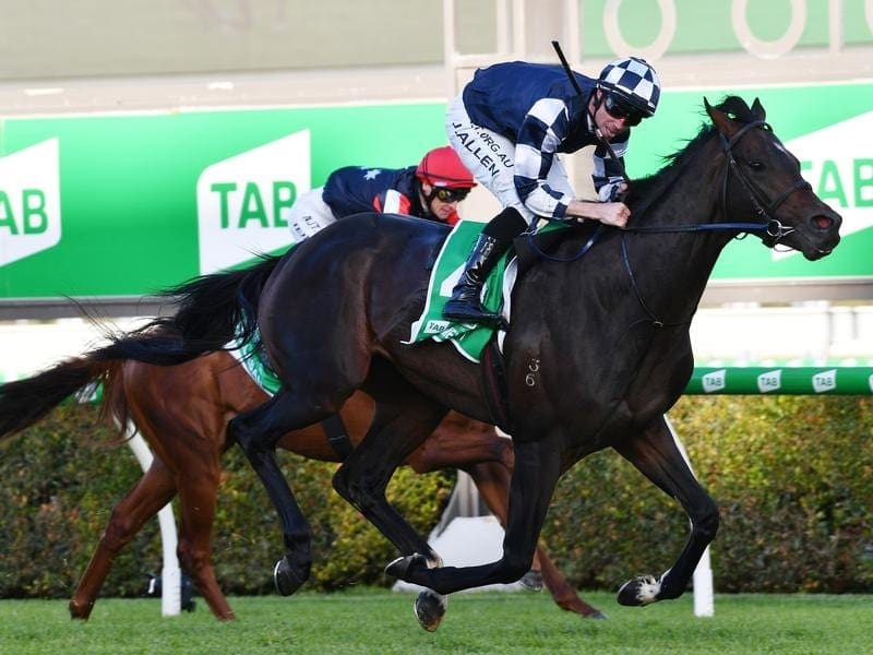 Russian Camelot wins the South Australian Derby.