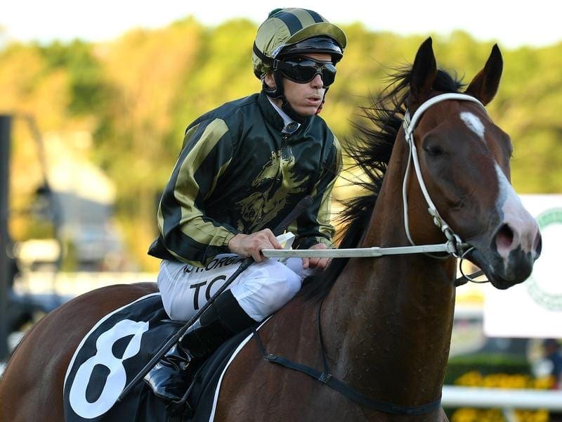 Snitz will contest the Ramornie Handicap at Grafton.