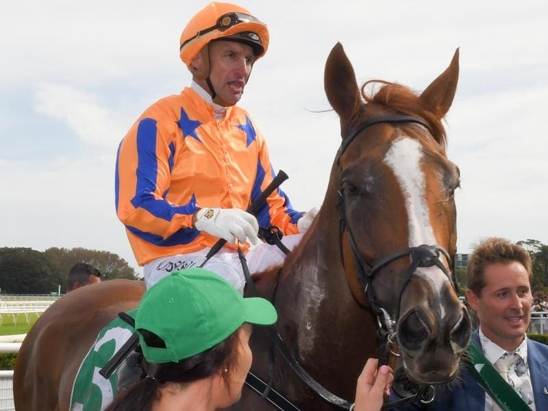 A lung infection has delayed Te Akau Shark's progress after the gelding underwent an eye operation. Te Akau Shark