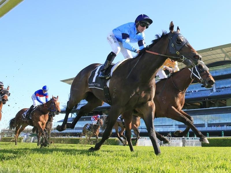 Edison wins at Randwick.