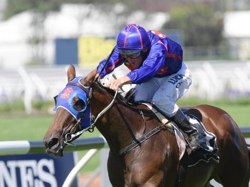 Krone will contest the Glasshouse Handicap at the Sunshine Coast.