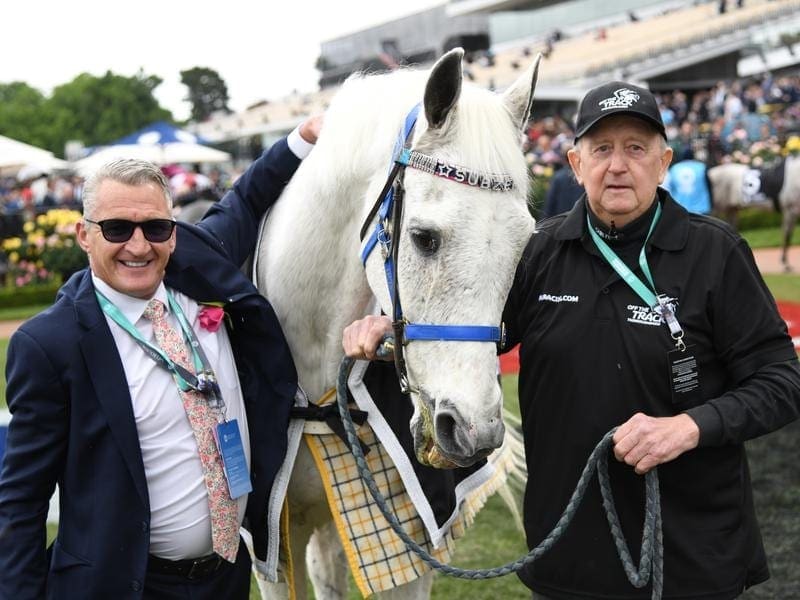 Beloved Melbourne Cup winner Subzero has died at the age of 32. Subzero