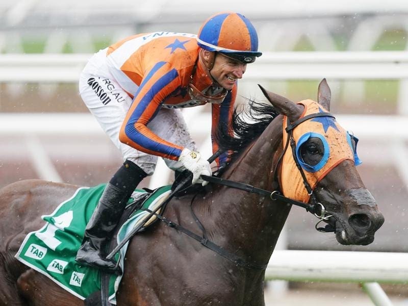 Melody Belle has passed a fitness test and will take her place in the Missile Stakes at Rosehill. Melody Belle