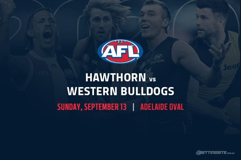 Hawthorn Vs Western Bulldogs Afl 2020 Round 17