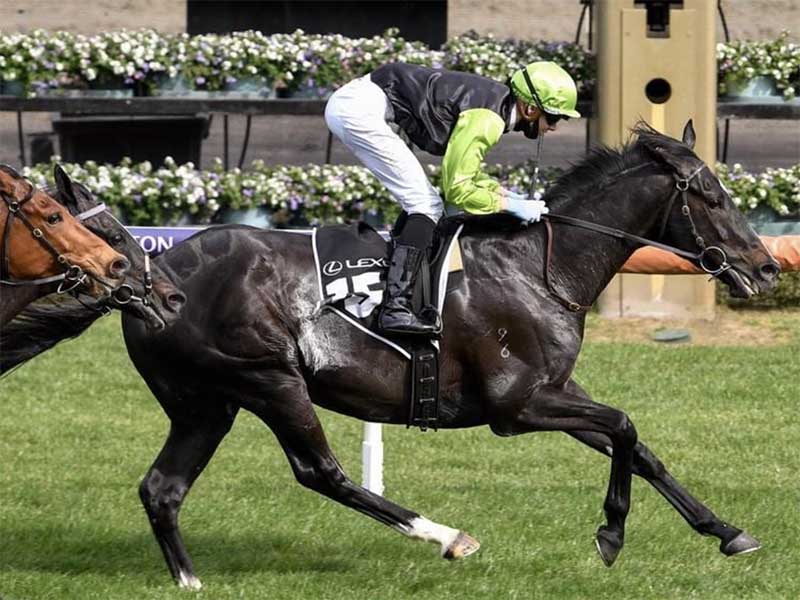 Persan is aiming to win the 2021 Melbourne Cup