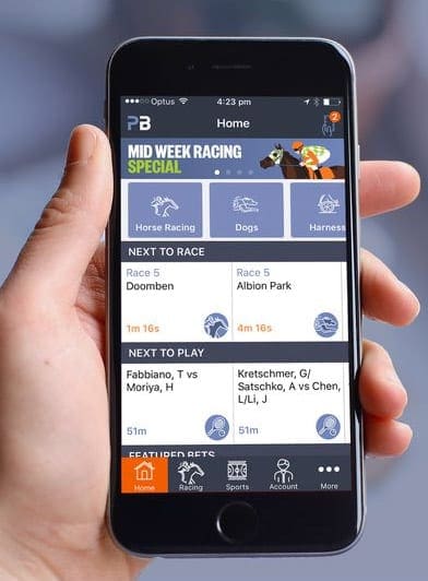 Palmerbet mobile app