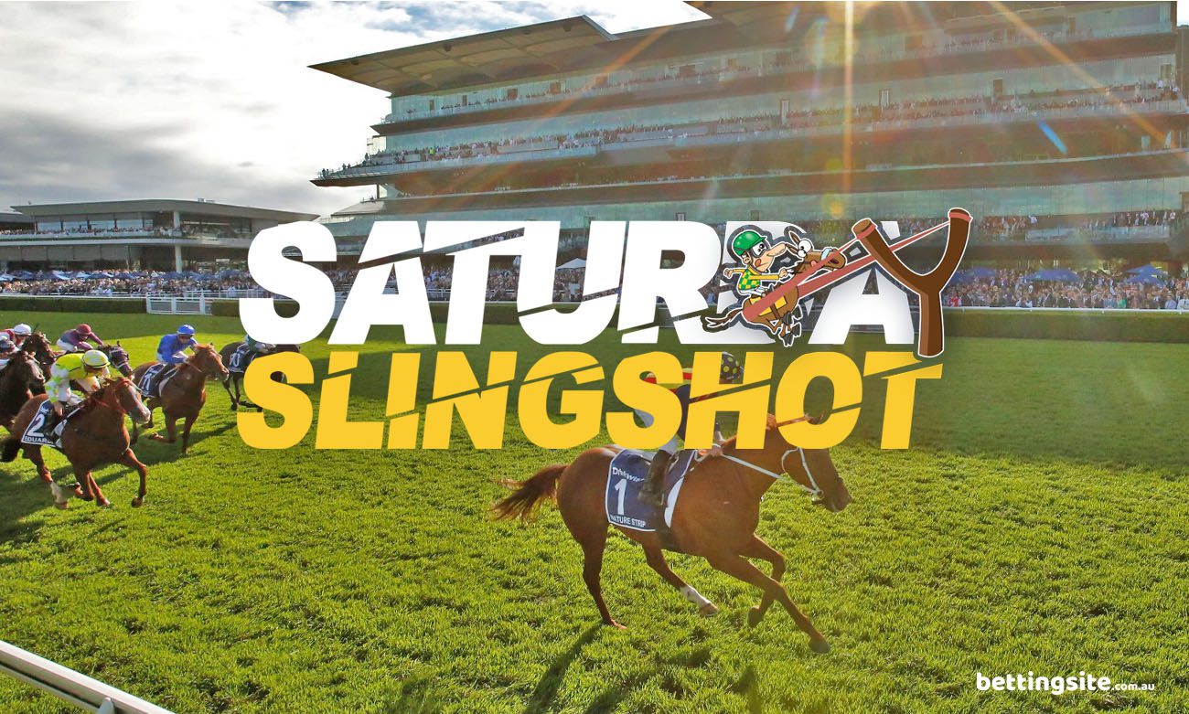 Horse racing best bets for Saturday, May 28, 2022