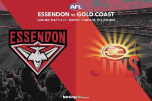 Bombers v Suns betting tips for AFL rd 2023