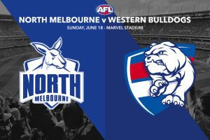 Kangaroos v Bulldogs AFL R14 betting preview