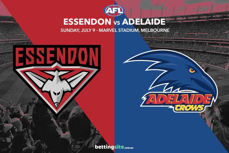 Essendon v Adelaide Tips & Predictions | AFL Rd 17 Preview