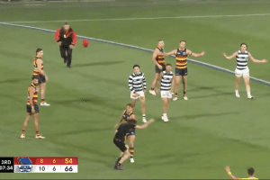Idiot Pitch Invader Disrupts Adelaide Crows vs Geelong Cats Match