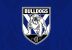 Canterbury Bulldogs logo